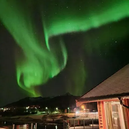 Hytte Pa Sor Senja Med Nydelig Utsikt Og Jacuzzi Dragoy Exterior photo