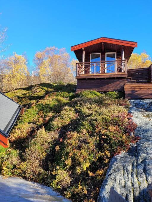 Holiday home Pa Sor Senja Med Nydelig Utsikt Og Jacuzzi