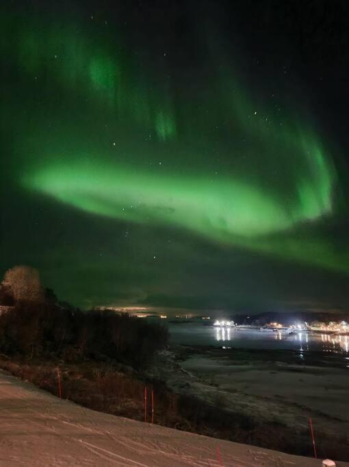 Pa Sor Senja Med Nydelig Utsikt Og Jacuzzi Holiday home Dragoy