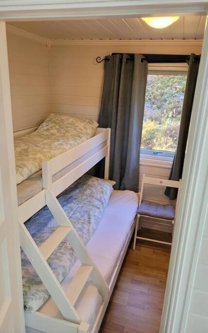 Holiday home Pa Sor Senja Med Nydelig Utsikt Og Jacuzzi *