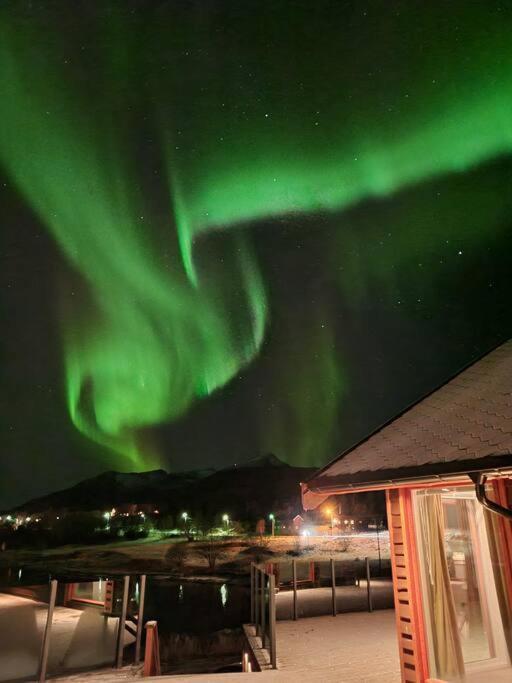 Pa Sor Senja Med Nydelig Utsikt Og Jacuzzi Holiday home